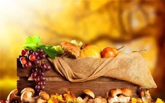 秋季養生家中必備食材10大排行榜，中醫養生保健服務指南